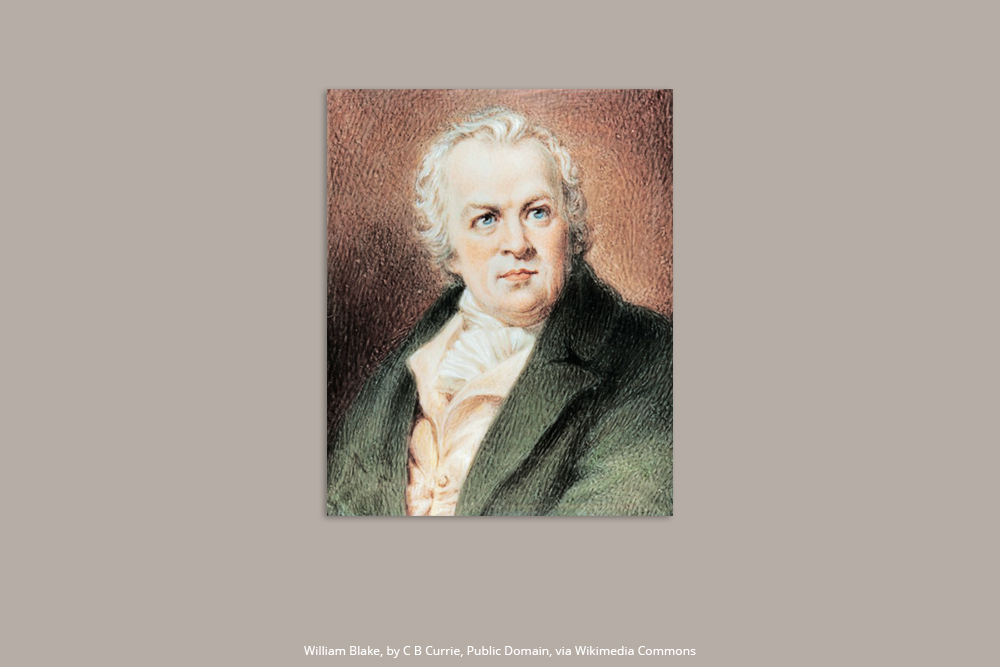 Canción de Flores Silvestres - Design Inspiration - 